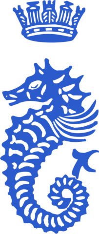2011 rorc log Seahorse in blue
