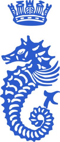 2011 rorc log Seahorse in blue